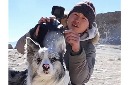 フォロワー150万人超の人気犬「鋤頭」、盗難後に数千円で売られて食肉処理