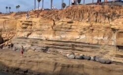 崖から海へ飛び込もうとした青年、途中岩に激突して負傷【動画】