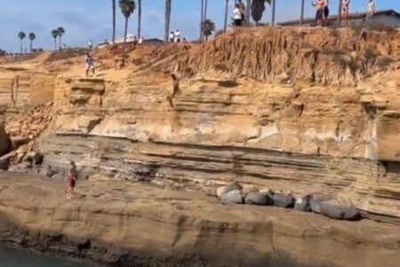 崖から海へ飛び込もうとした青年、途中岩に激突して負傷【動画】