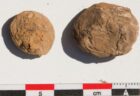 インカ帝国時代の貯蔵庫で、500年前のフリーズドライにされたジャガイモを発見