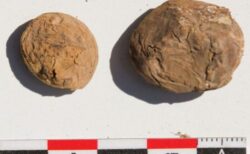 インカ帝国時代の貯蔵庫で、500年前のフリーズドライにされたジャガイモを発見