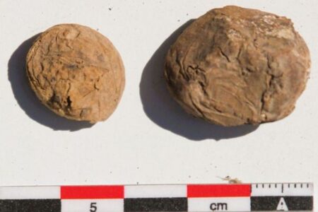 インカ帝国時代の貯蔵庫で、500年前のフリーズドライにされたジャガイモを発見