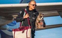 ノルウェーのハーランド選手、アライグマのお土産を手に帰国