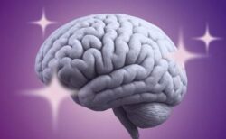 アルツハイマー病を発症しても、認知機能が低下しない脳が存在する理由とは？