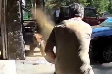 男性がクマよけスプレーを噴射、襲い掛かってきたクマが退散【動画】