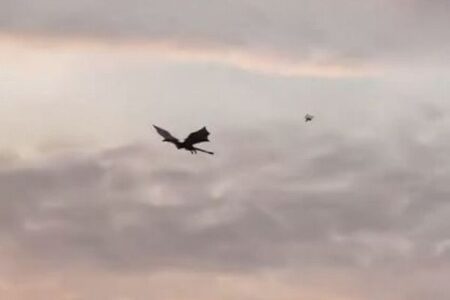 イギリスの上空に巨大なドラゴンが出現、羽を動かし空を舞う【動画】