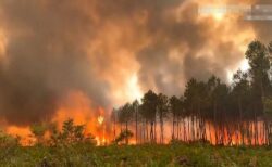 スペインとフランスで大規模な山火事、20万人以上が避難