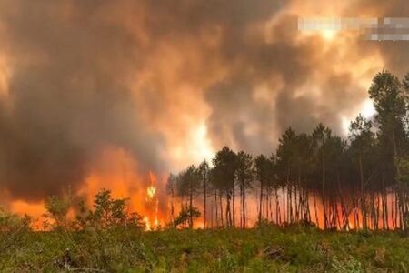 スペインとフランスで大規模な山火事、20万人以上が避難