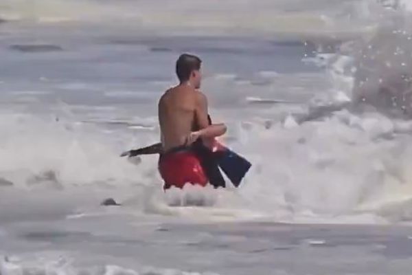 米海岸で大きな波に飲まれた少年を、ライフガードが懸命に救助【動画】