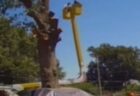 観光ビザで渡米していたメキシコ人の男性、ICEから逃れようと車に轢かれて死亡