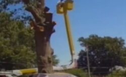 高所作業車のゴンドラが落下、2人の作業員が奇跡的に無事【動画】