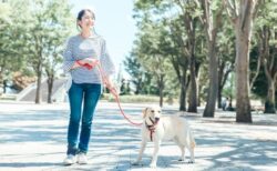 中国に登場した飼犬シェアプラットフォームに、賛否の声