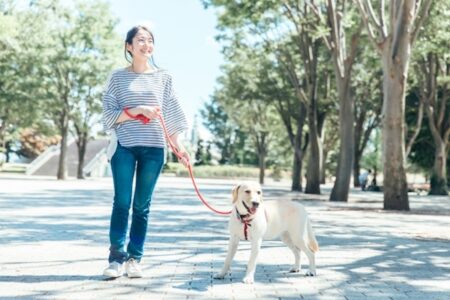 中国に登場した飼犬シェアプラットフォームに、賛否の声