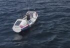 有名なゾウアザラシ、タスマニア島を再び訪れ、大混乱を引き起こす【動画】