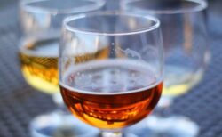ストレスによる飲酒、脳の認知機能に悪影響する可能性