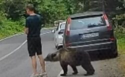 ルーマニアの山中で男性の背後にクマ、足を噛まれそうになるも気づかず【動画】