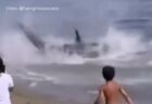 マグロが浅瀬に打ち上げられ激しく暴れる、海水浴客も唖然【動画】