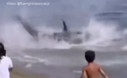 マグロが浅瀬に打ち上げられ激しく暴れる、海水浴客も唖然【動画】