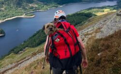 英の山で3週間も行方不明だったワンコ、無事に救助される