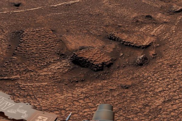 NASAの「キュリオシティ」が、火星でハチの巣構造の模様を発見