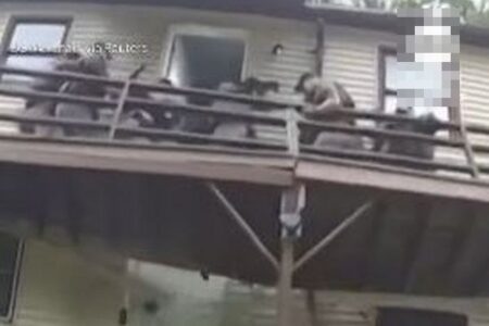 犯人の部屋の前にいた米捜査官ら、2階の木製デッキが崩壊し、全員が地面に落下【動画】