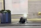 イランが、バロン・トランプを標的とした脅迫動画を公開