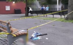 NY市の公園で強力な花火が爆発、10歳の少女が指を数本失う