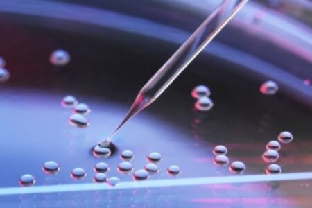 英でヒトの臓器や組織を培養、新薬開発による動物実験を減らす