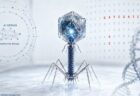 米研究者がAIを使い、存在しなかった未知のウイルスを開発