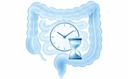 あなたは大丈夫？ 食べたものが腸を通過する時間が健康を左右する可能性