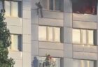 フィリピンの漁師の顔にタコが張り付き、必死で剥がそうとする【動画】