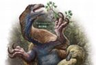 長い爪をもつ新種の恐竜を特定、中国東北部の地層で発掘