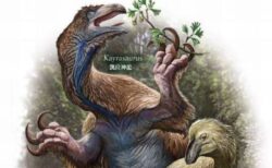 長い爪をもつ新種の恐竜を特定、中国東北部の地層で発掘