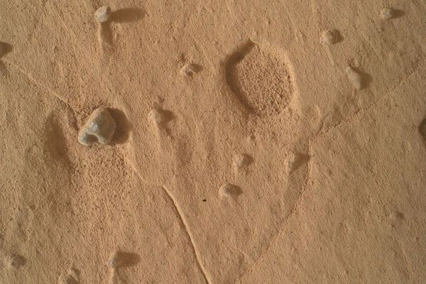 NASAの「キュリオシティ」、火星の表面に謎めいた複数の窪みを発見