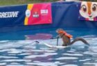 【動画】バス運転手のうっかりミスが“奇跡”を生んだ？バイクがバスに衝突→男性が歩いて立ち去る