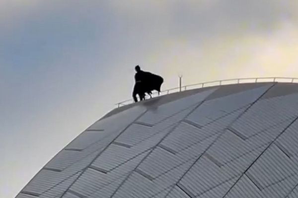 シドニーの施設の上に、バットマンの衣装を着た人物が出現【動画】