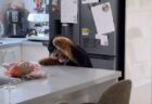 タイで、バーテンダーが無銭飲食をした女性の頭を剃る【動画】