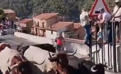 スペインの祭りで、女性が牛の角に突き刺されて死亡【動画】