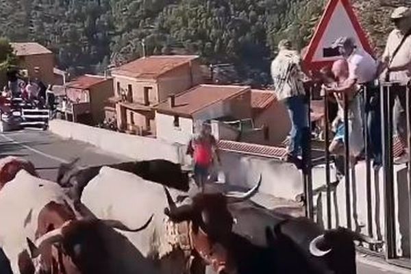 スペインの祭りで、女性が牛の角に突き刺されて死亡【動画】