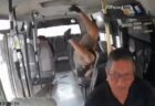 【動画】バス運転手のうっかりミスが“奇跡”を生んだ？バイクがバスに衝突→男性が歩いて立ち去る