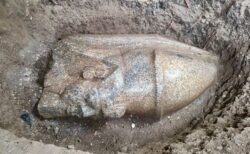 エジプトで男性が、巨大なラムセス2世の像の一部を発見