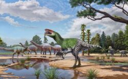 イギリスで100年以上前に発見された化石、メガラプトル類の新種と特定
