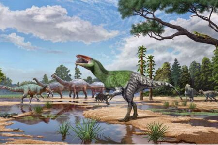 イギリスで100年以上前に発見された化石、メガラプトル類の新種と特定