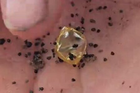 アーカンソー州の男性、州立公園で6カラットのダイヤモンドを発見