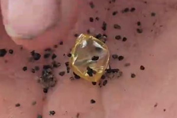 アーカンソー州の男性、州立公園で6カラットのダイヤモンドを発見