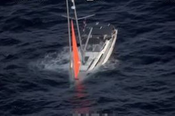 南太平洋でヨットがクジラと衝突して沈没、4人を救助