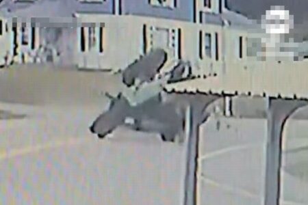 トラクターが暴走し横転、荷車に乗っていた子供らが負傷【動画】