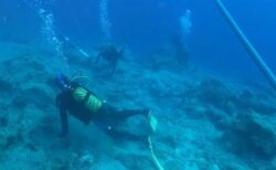 トルコ沖で世界最古とされる難破船を発見、約4700年前と推定